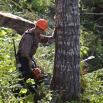 logger